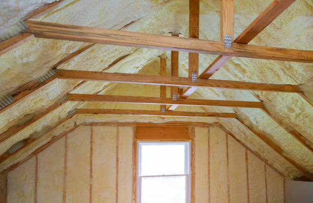 Best Geographic-Specific Insulation Services in St Albans, WV